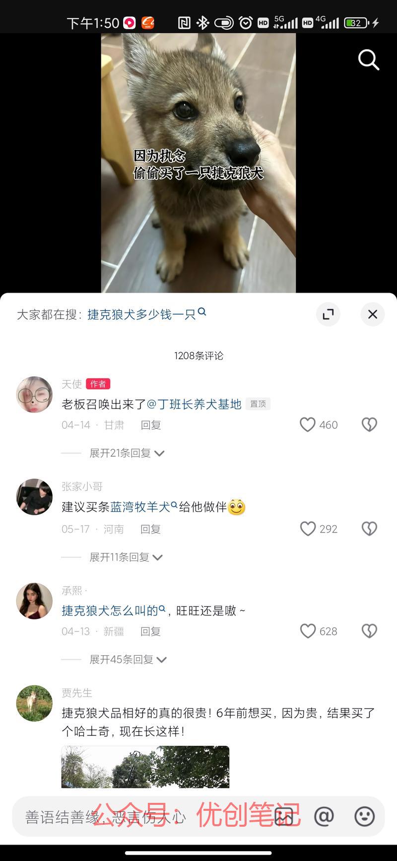 这种应该是打宠物活体的应该..情报-搞钱线报📢论坛-网创交流-优创圈